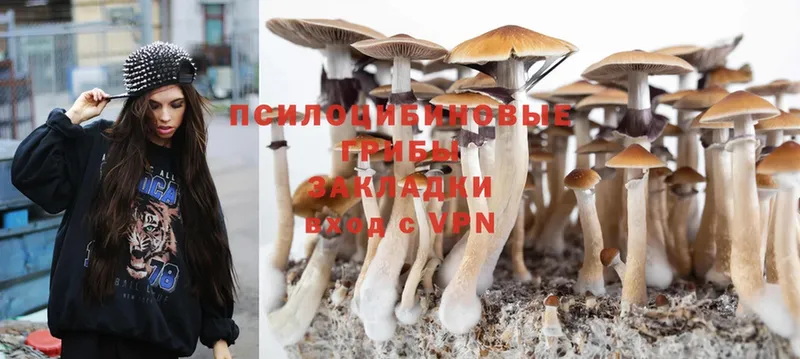 купить  сайты  Верхний Уфалей  Галлюциногенные грибы MAGIC MUSHROOMS 